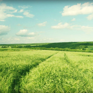 灵堂口爆美妇戴小宇
